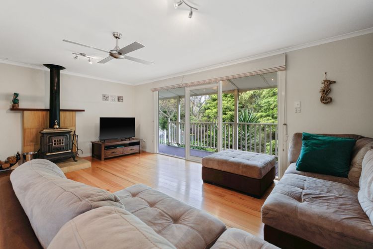 Purple Goose at Red Rocks