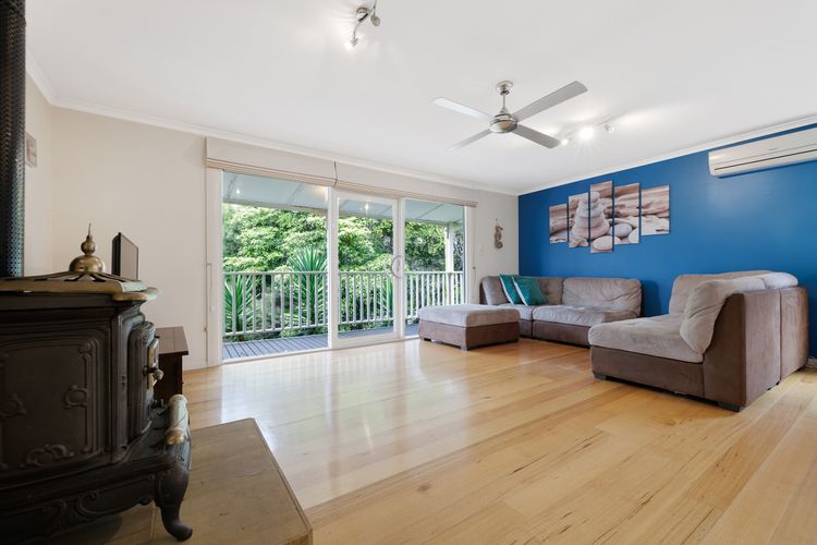 Purple Goose at Red Rocks