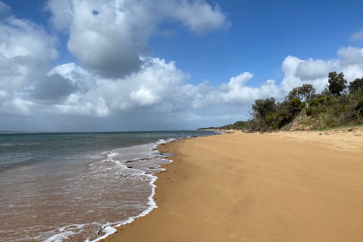 Banksia Waterfront Beachhouse