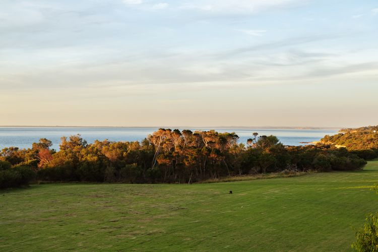 Seaview Escape