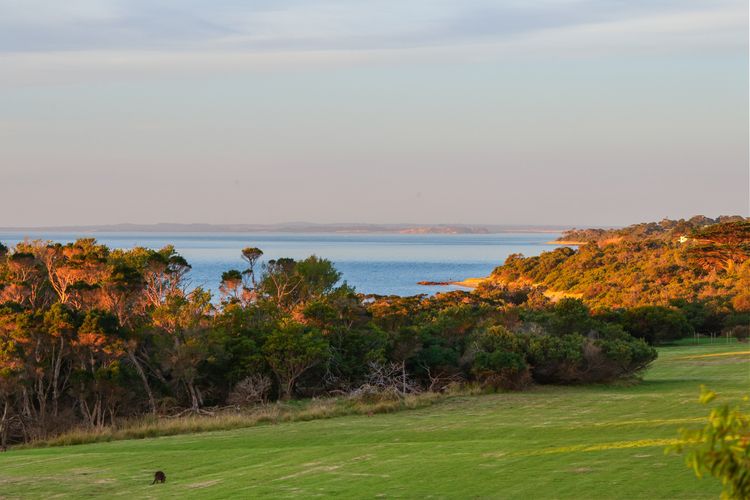 Seaview Escape
