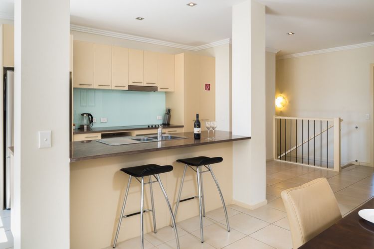 Penguins by the Beach