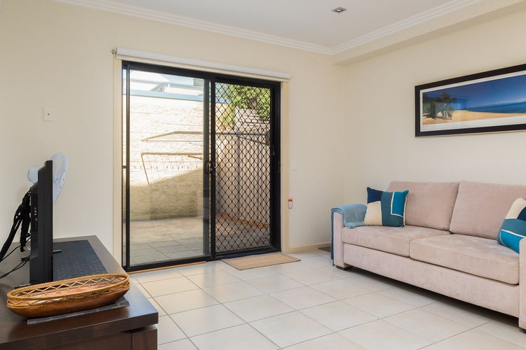 Penguins by the Beach