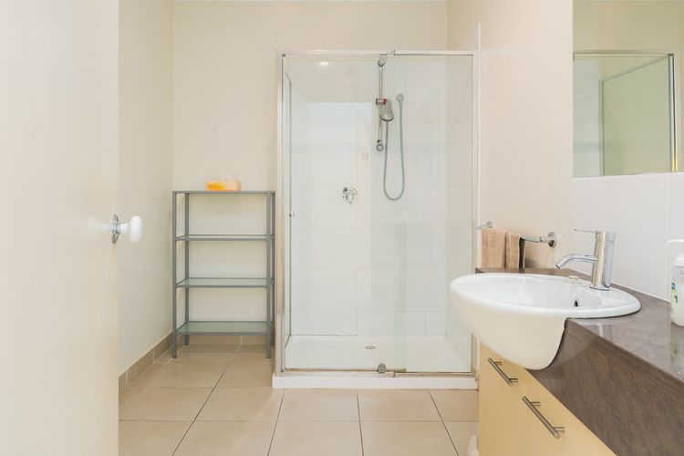 Penguins by the Beach