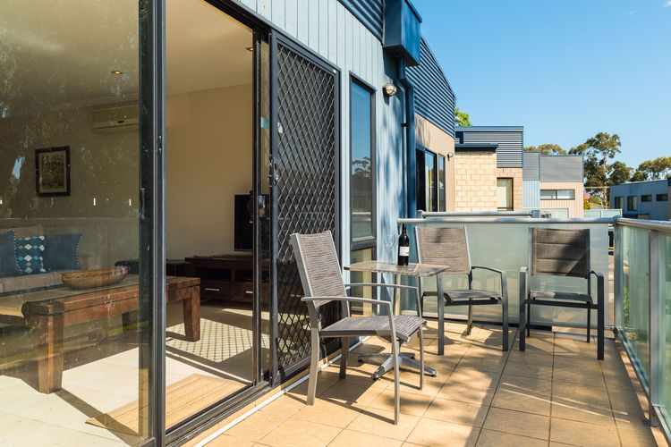 Penguins by the Beach