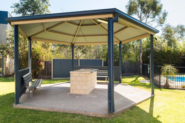 Penguins by the Beach