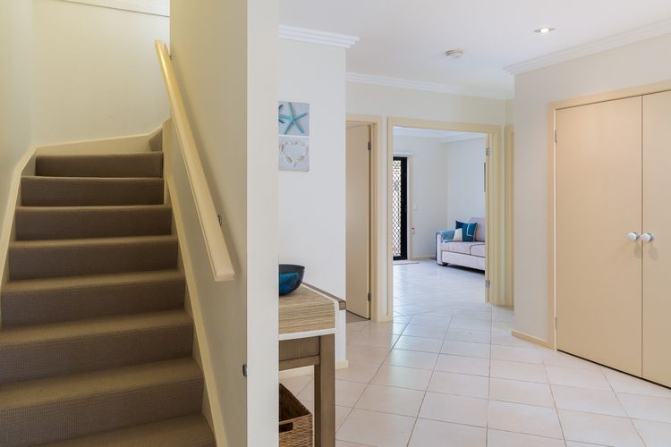 Penguins by the Beach