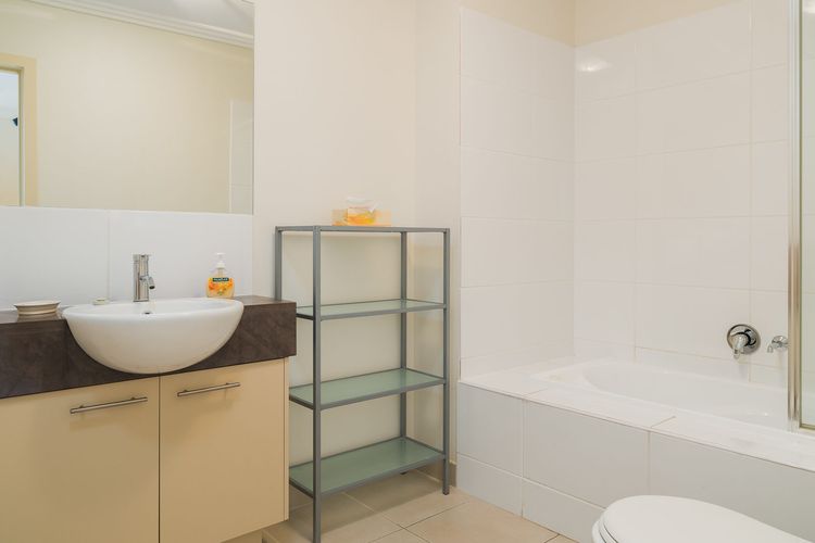 Penguins by the Beach