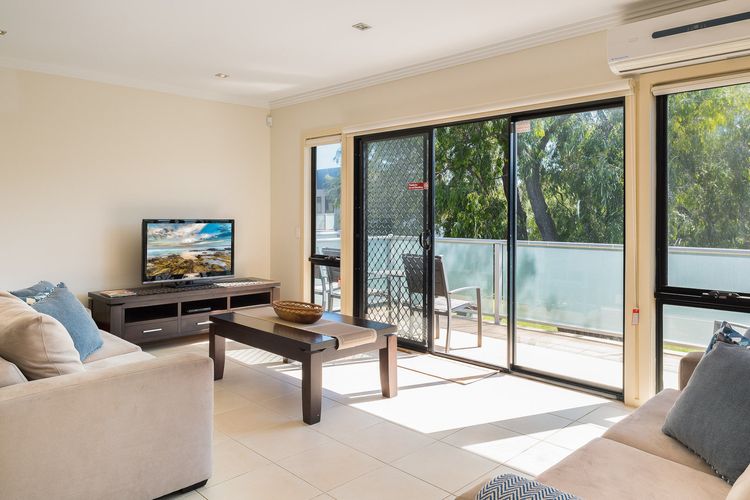 Penguins by the Beach