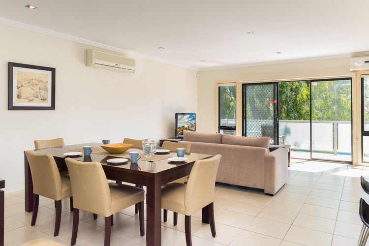 Penguins by the Beach