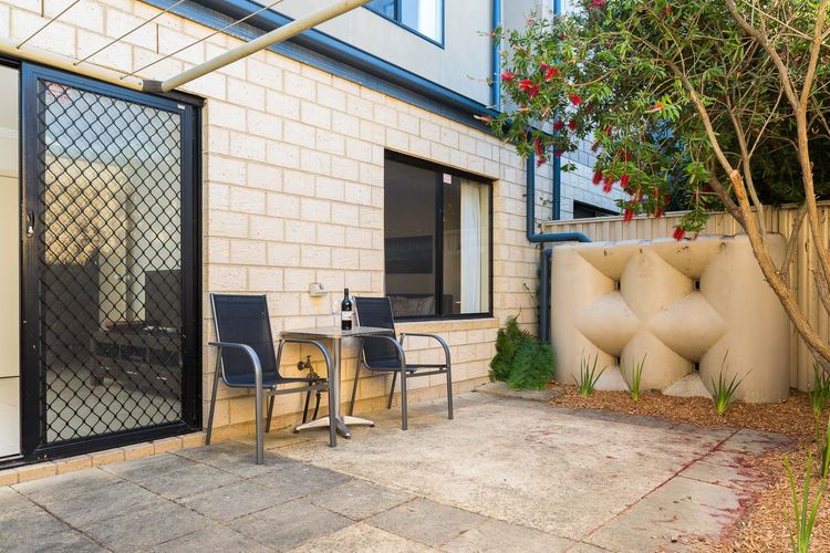 Penguins by the Beach