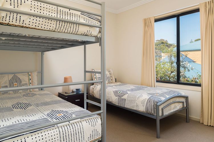 Penguins by the Beach