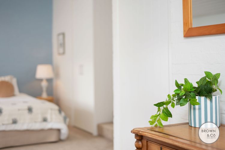 Alice (Bayona 7) – Little Cove