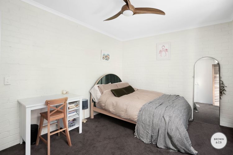 Charlie – Little Cove