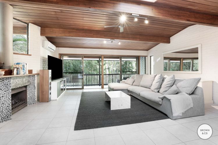 Charlie – Little Cove