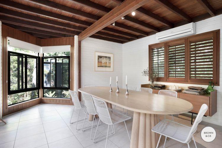 Charlie – Little Cove