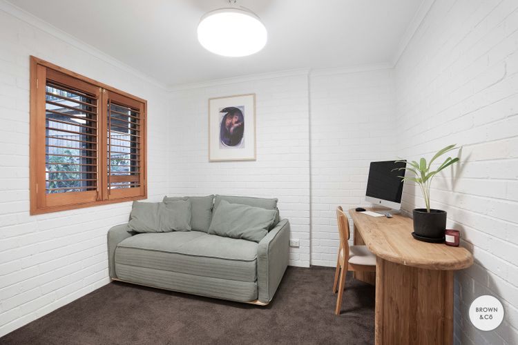 Charlie – Little Cove