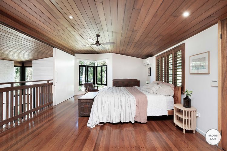 Charlie – Little Cove