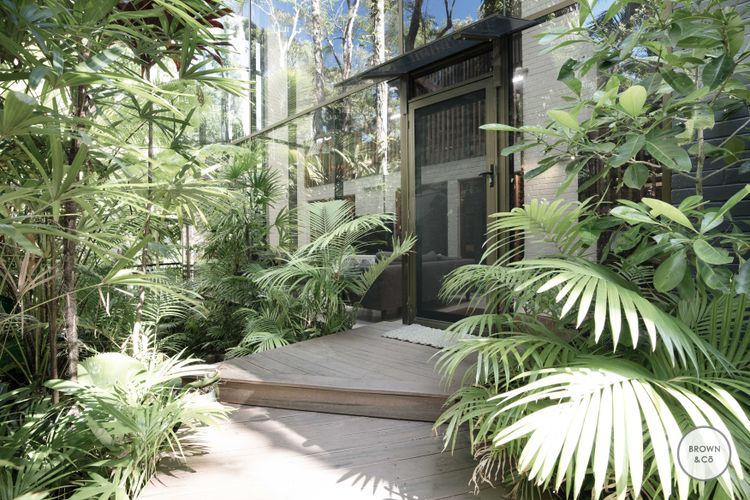 Charlie – Little Cove