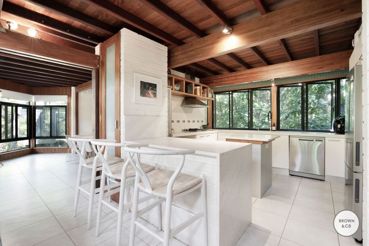 Charlie – Little Cove