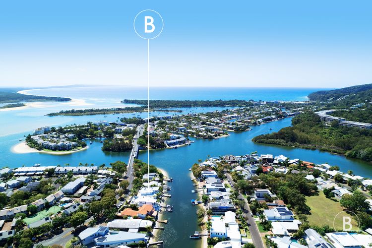 Lucy – Noosa – Noosaville