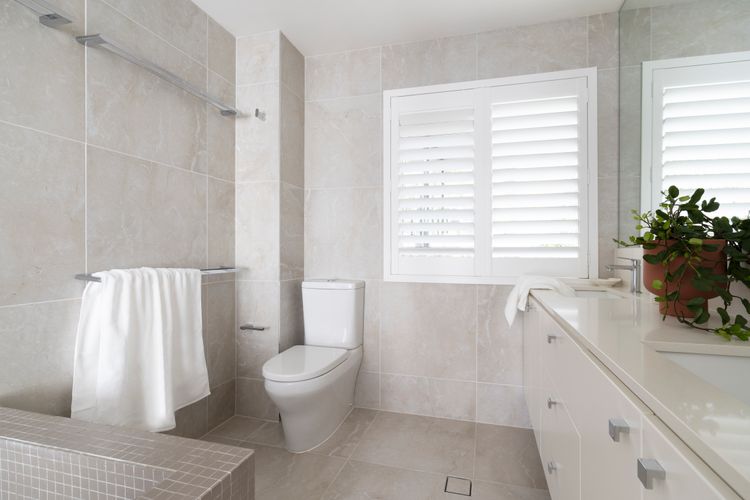 Luna – Little Cove