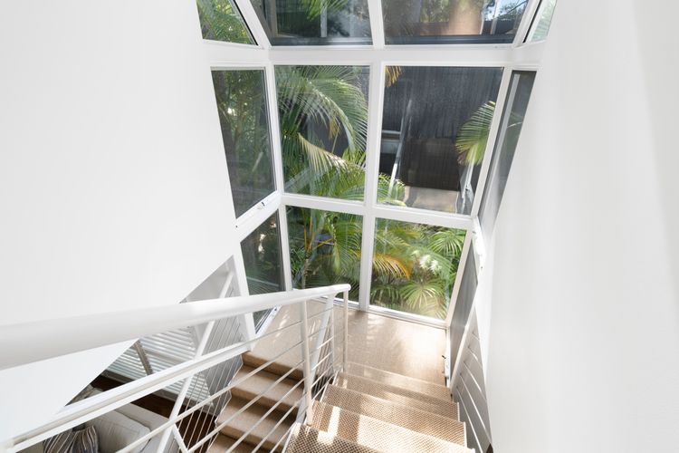 Luna – Little Cove