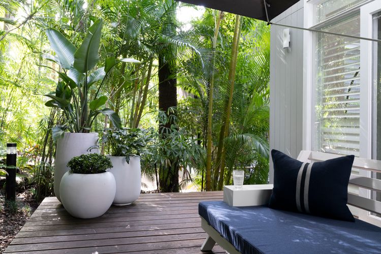 Luna – Little Cove