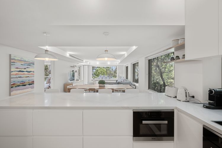 Audrey – Little Cove