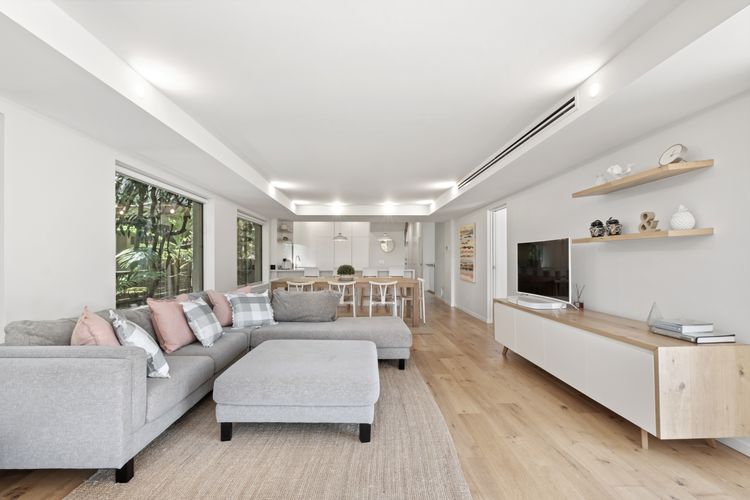 Audrey – Little Cove