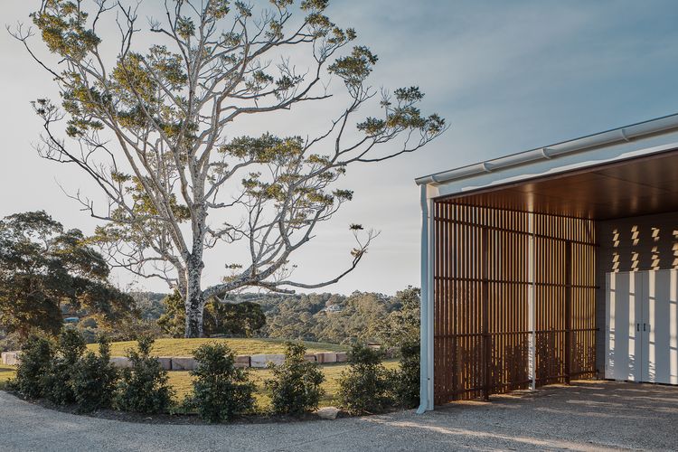 Betty – Black Mountain House