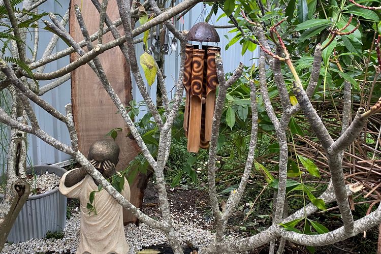 Akuli By the Sea – Unit 1