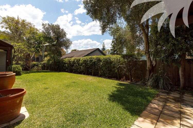 Backyard Lawn