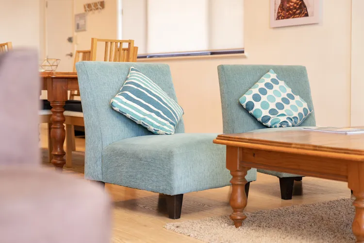 Cozy Lounge Chairs