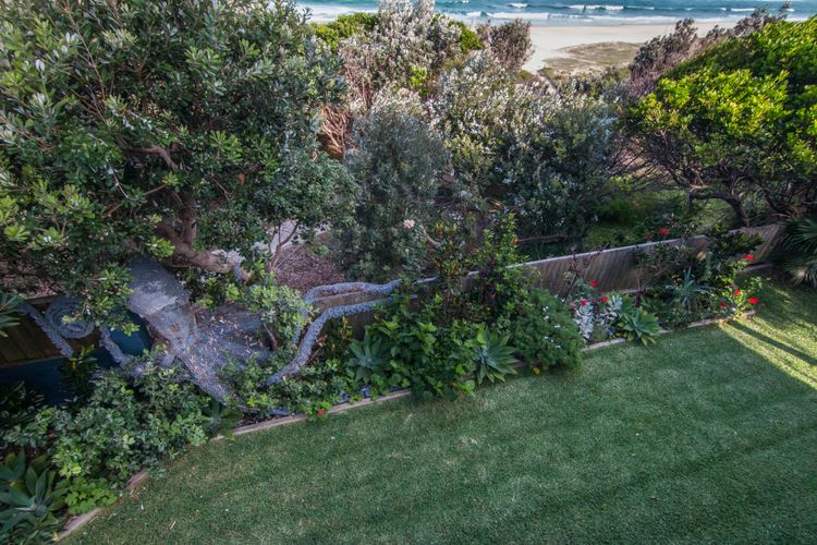 Garden Pathway View