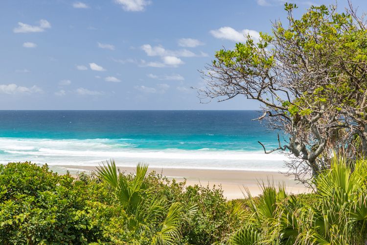 Beach and Ocean View