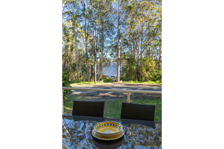 Lake View Through Trees
