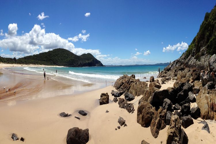 Beach View