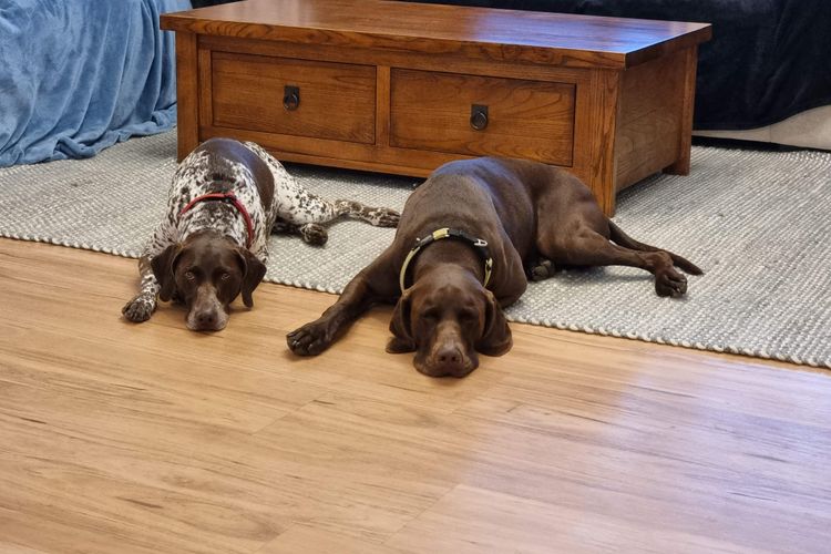 Floor Lounge