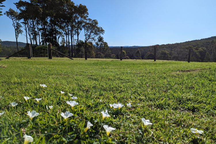 Open Green Field