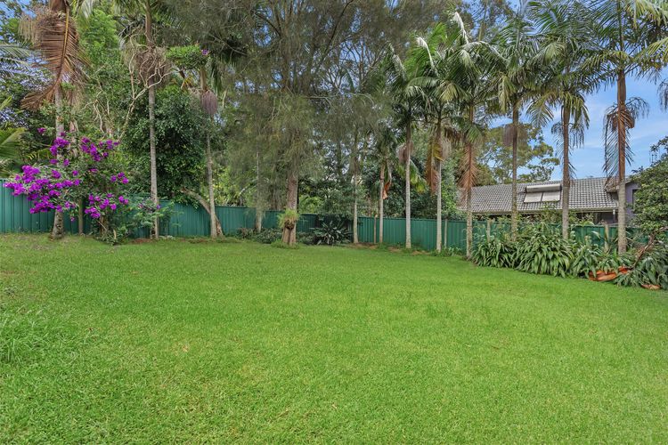 Green Garden