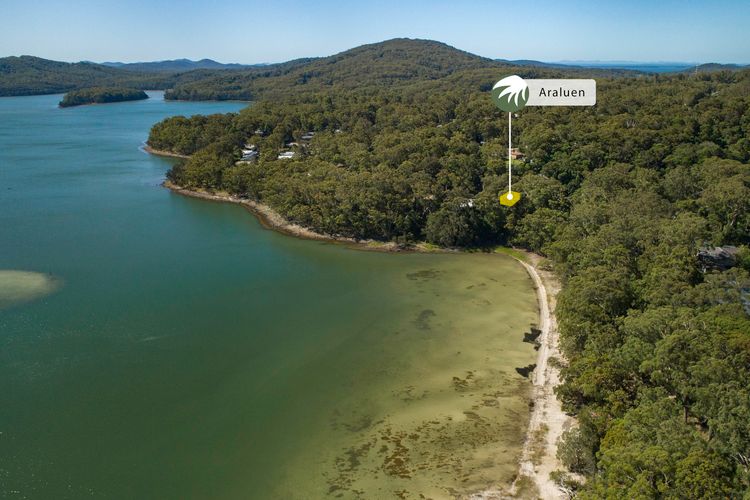 Aerial View of Lake and Surroundings