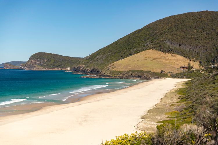 Pristine Beachfront View