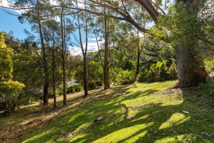 Trees and Open Space
