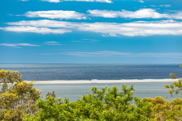 Panoramic Water Vista