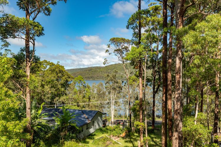 Forest Valley View