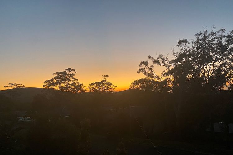 Sunset View