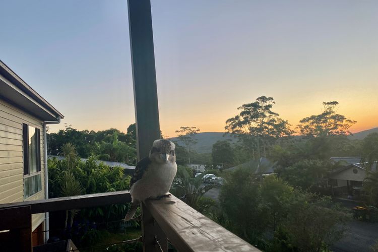 Sunset Balcony View