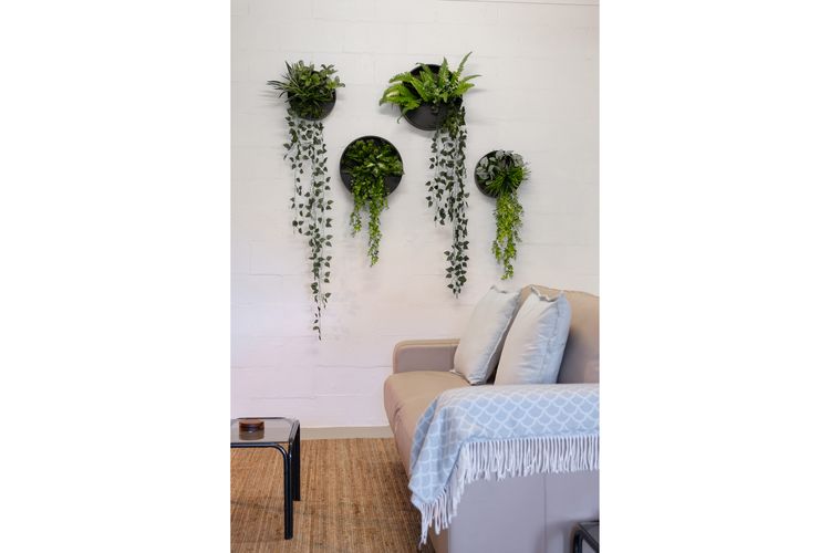 Wall Plant Decor