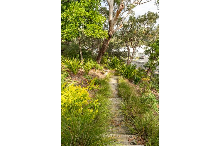 Garden Pathway